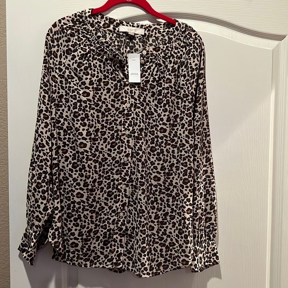 Loft button down